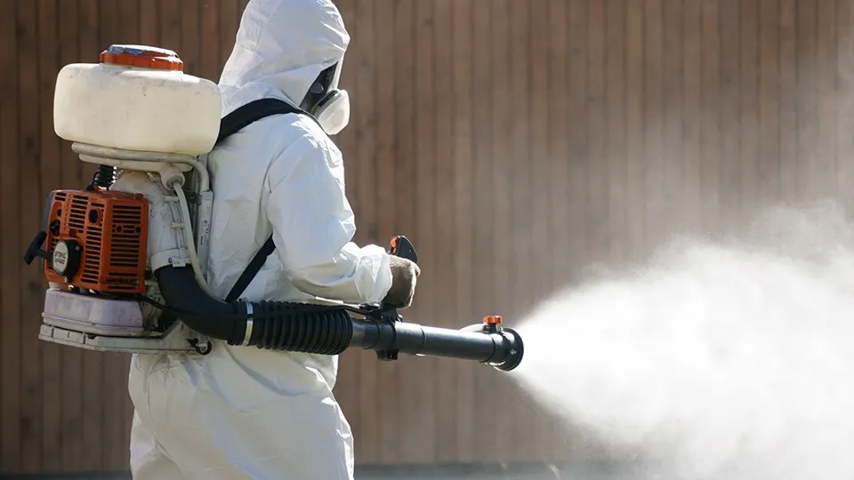 Фото: МедиаБанк Подмосковья/Алена Притула