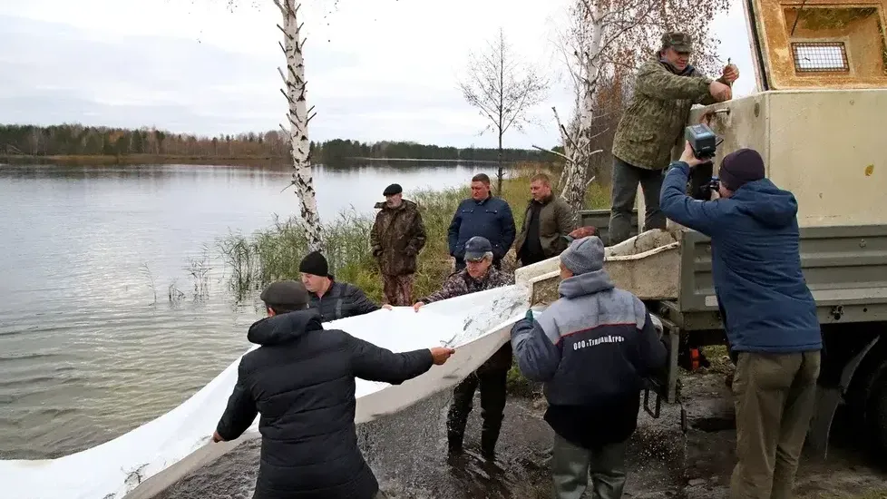 Фото: Александр Дрожжин