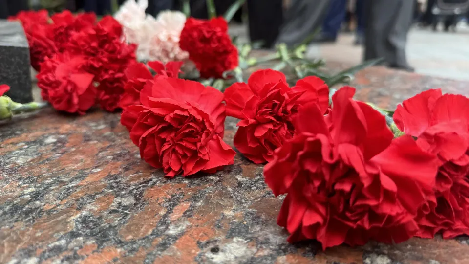 Фото: Полина Абраменко