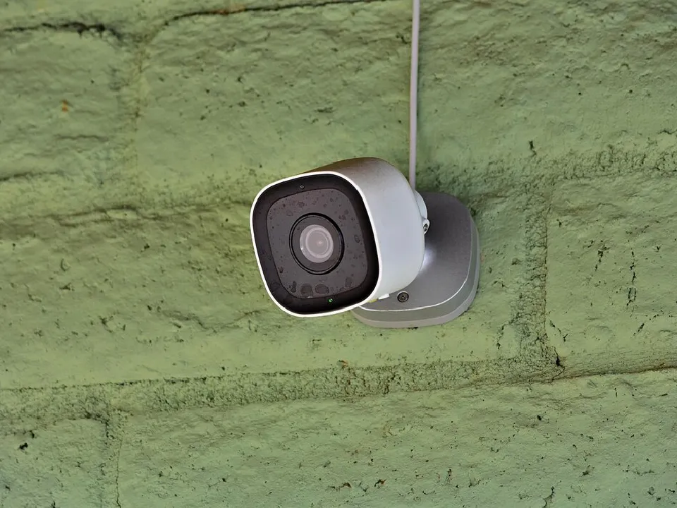 Фото: freepik.com&nbsp;