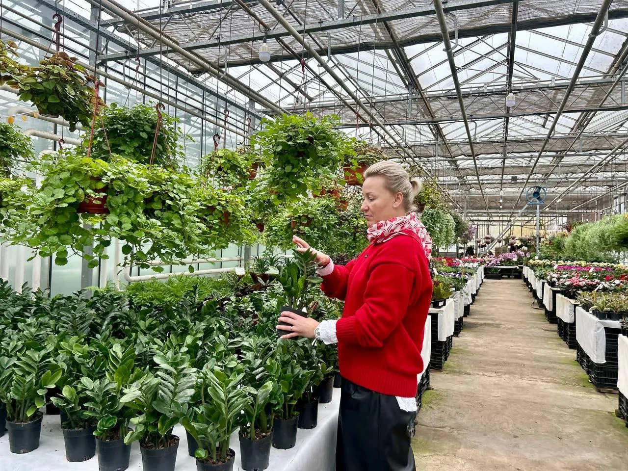 Фото: Администрация г.о. Котельники