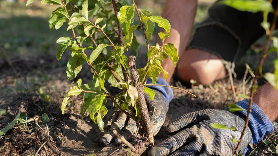 Фото: freepik.com