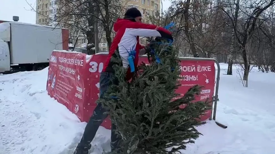 Фото: МедиаБанк Подмосковья/Ксения Казакова