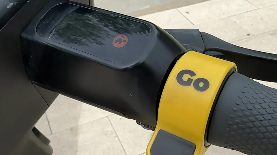 Фото: МедиаБанк Подмосковья/Ксения Казакова