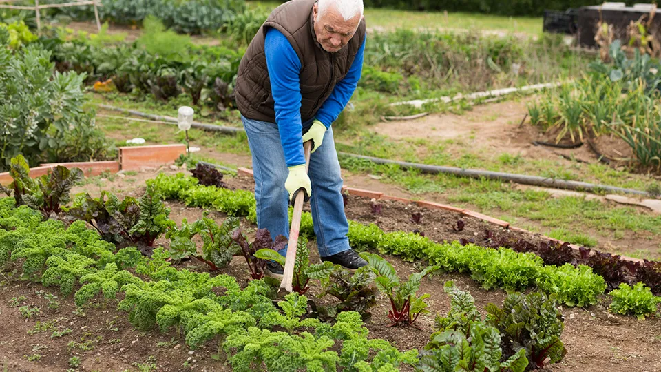 Фото: istockphoto.com