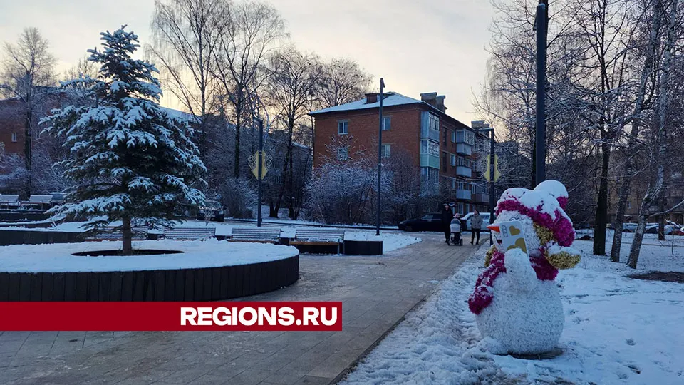 Фото: Дмитрий Беденко