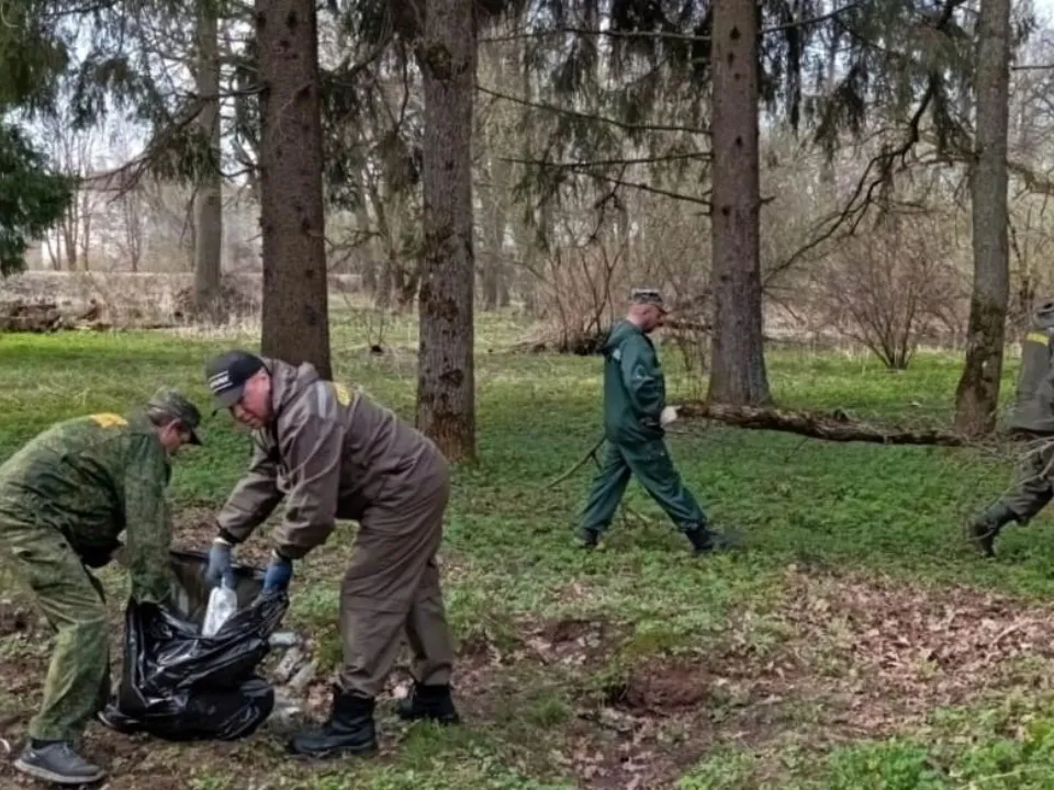 Фото: Комитет лесного хозяйства Московской области