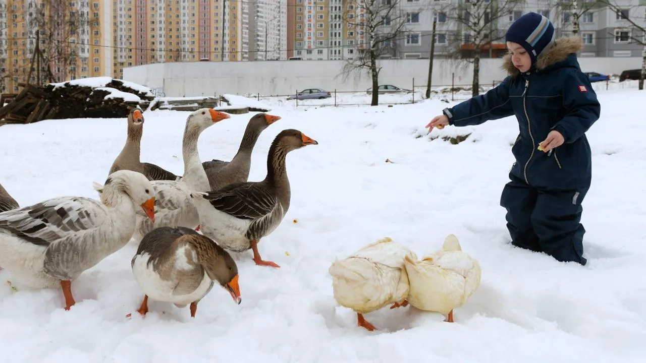 РИА Новости/Владимир Трефилов