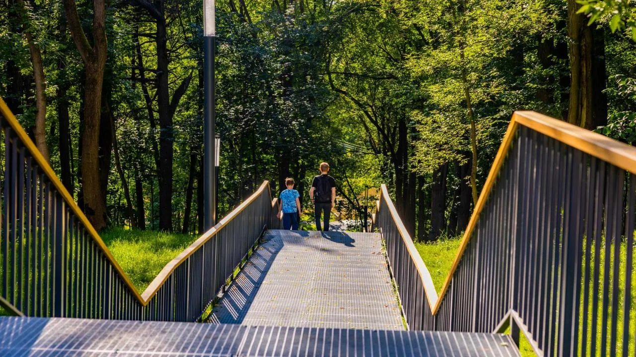 Свыше 110 тыс. жителей Московской области отдали свой голос за объекты благоустройства