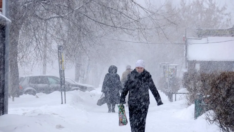 Фото: медиасток.рф