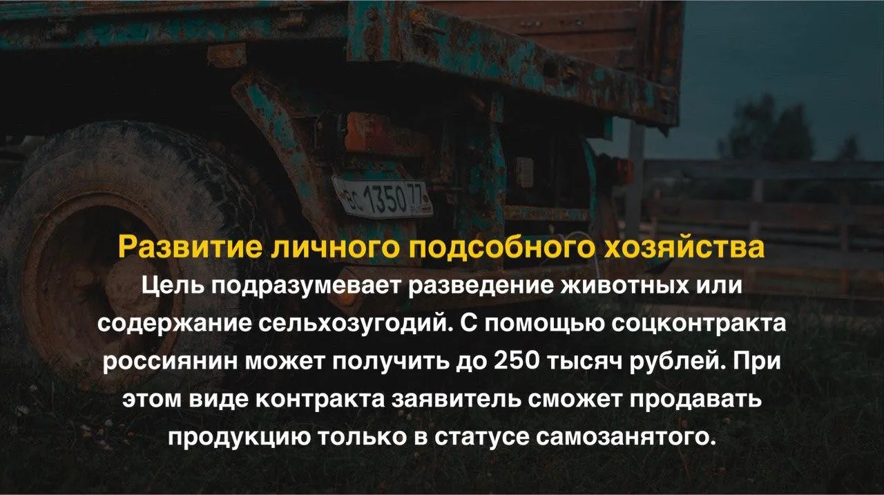 Соцконтракт на развитие личного подсобного хозяйства. Коллаж: Unsplash
