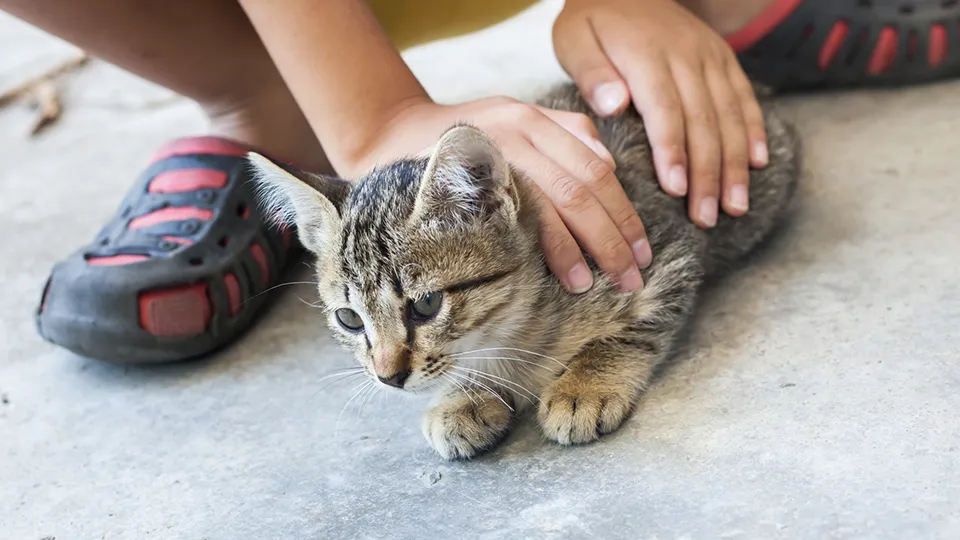 Фото: istockphoto.com