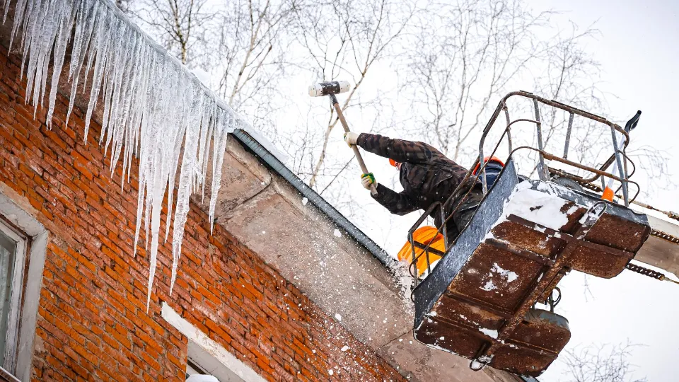 Фото: МедиаБанк Подмосковья/Данила Кирьянов