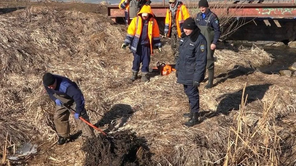 Фото: пресс-служба администрации г.о. Солнечногорск