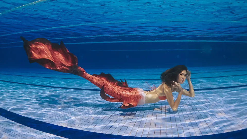 Фото: istockphoto.com/CG Tan