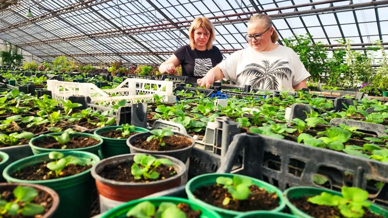 REGIONS/Мария Панина