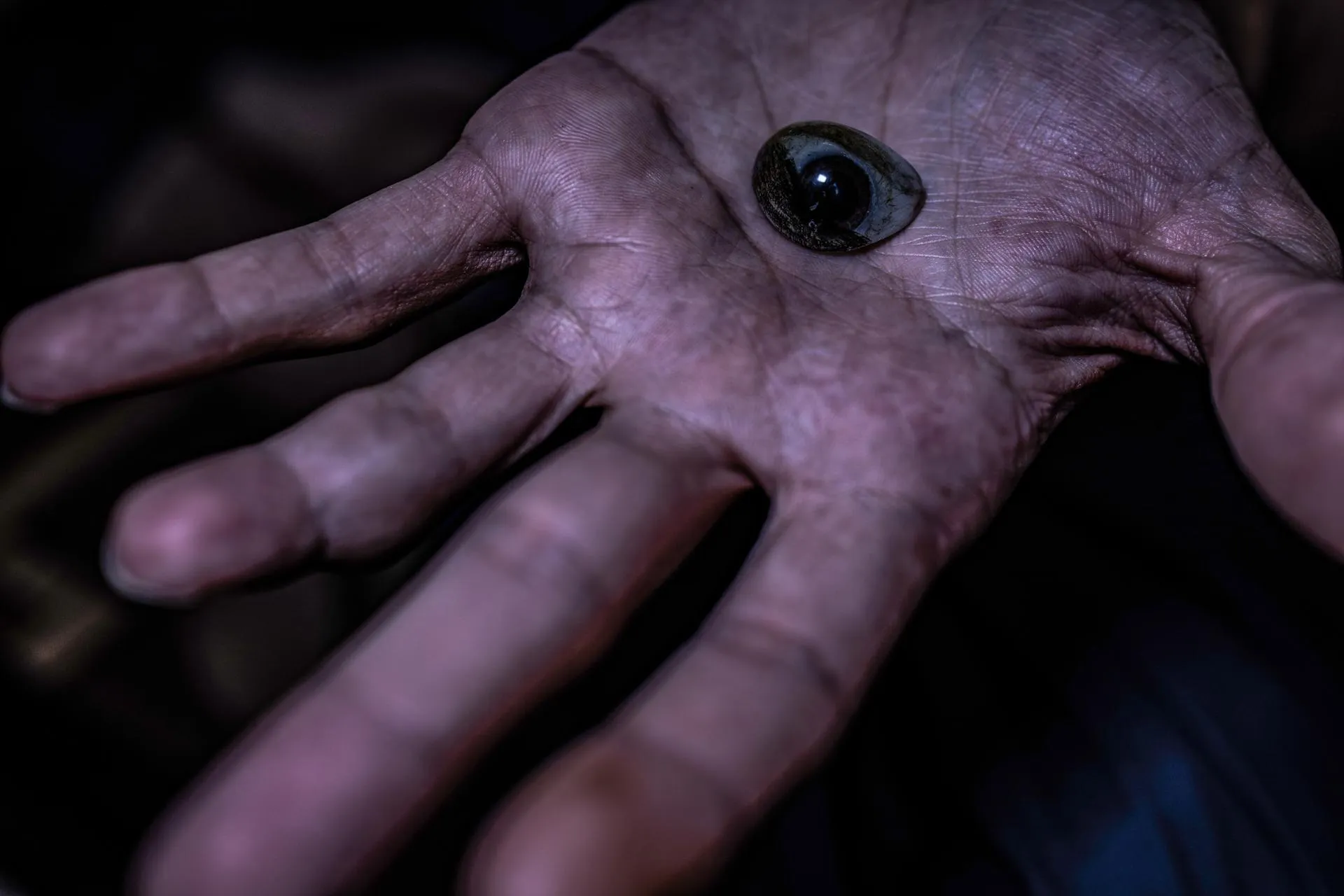 Anas Alkharboutli/dpa