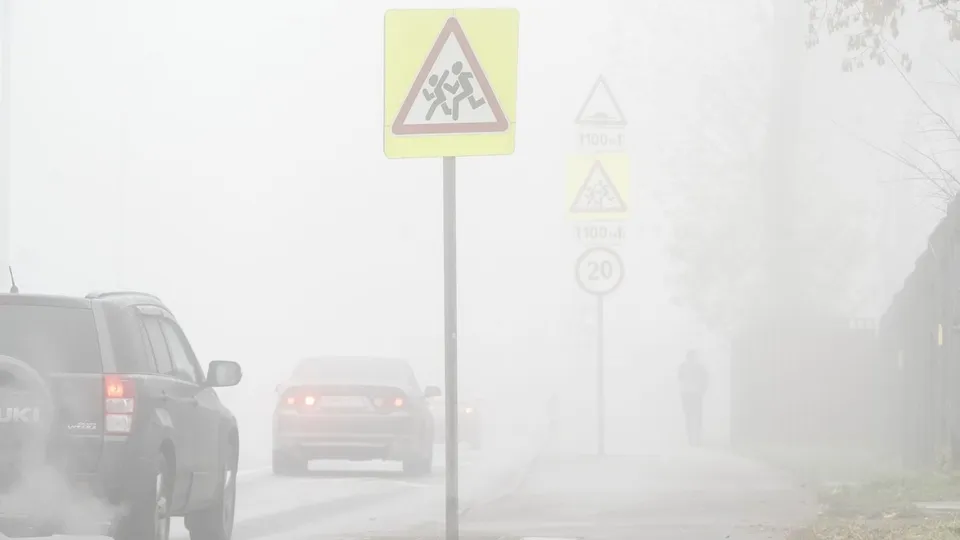 Фото: медиасток.рф