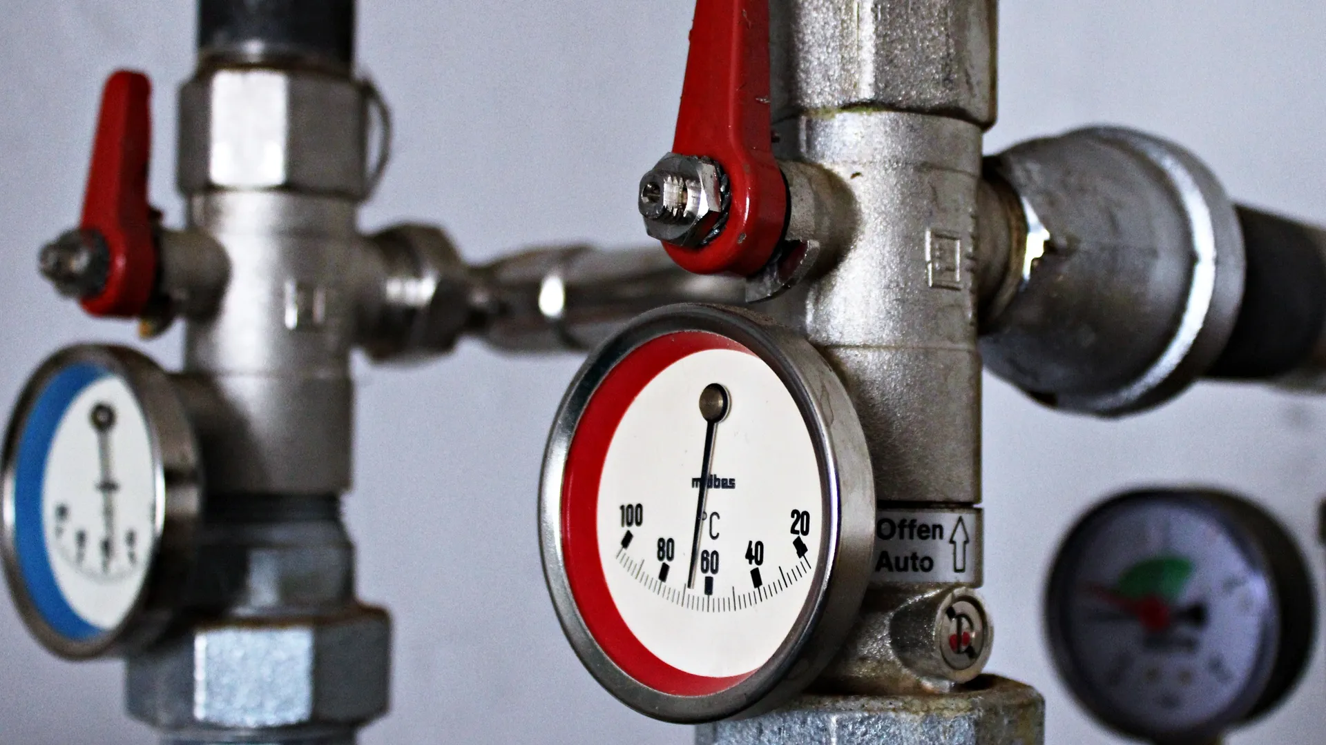 Фото: pxhere.com