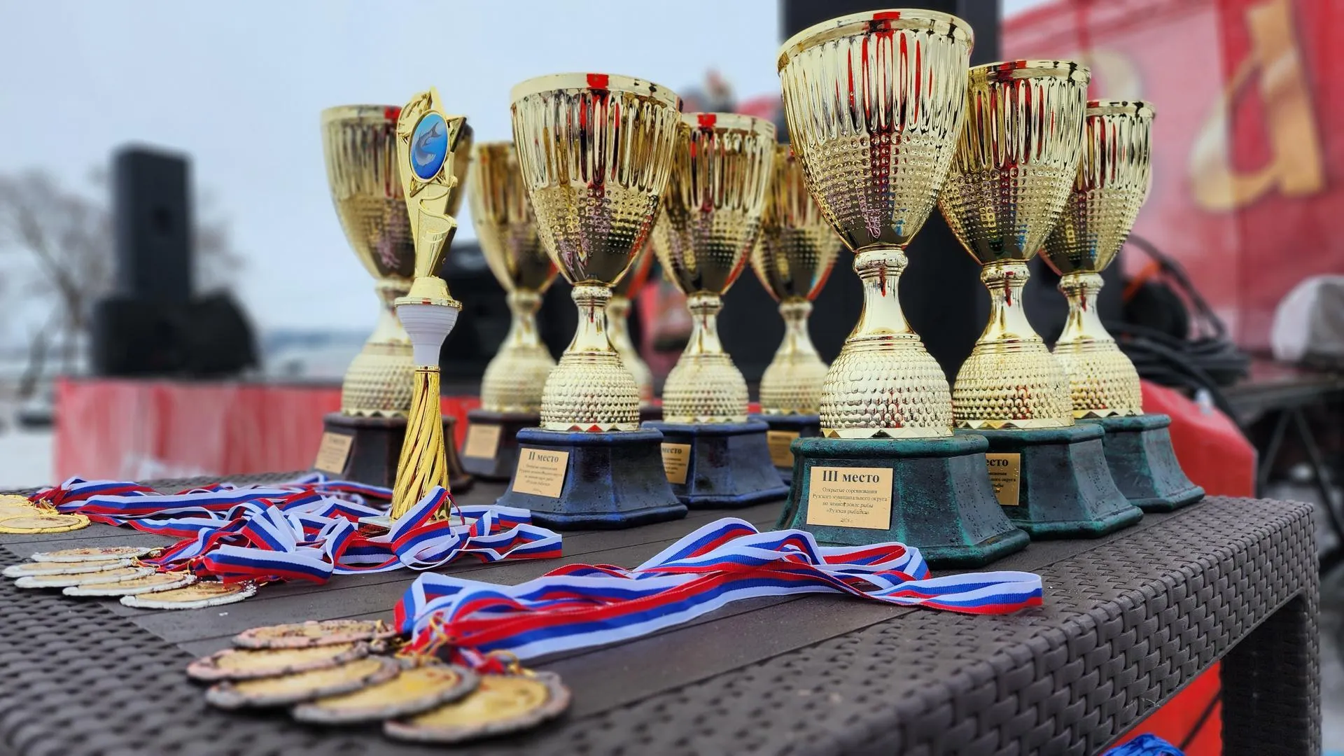 МедиаБанк Подмосковья/Екатерина Данилина