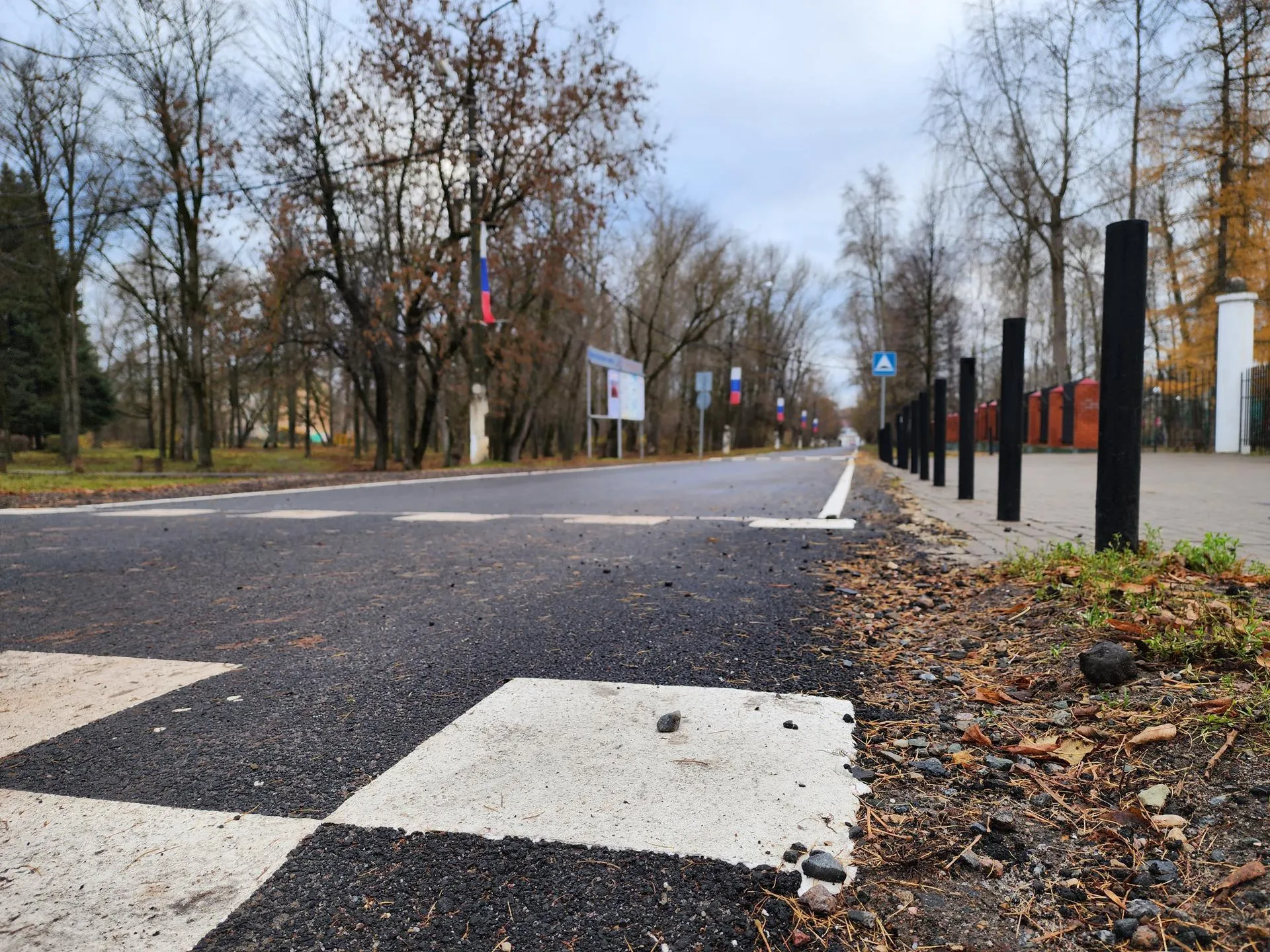 Фото: Светлана Плотникова