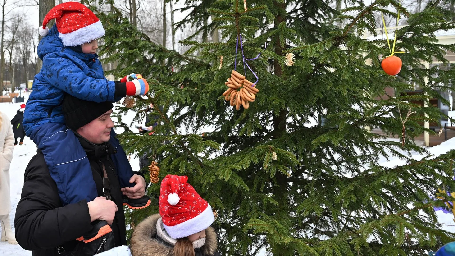 Фото: Сергей Демянюк