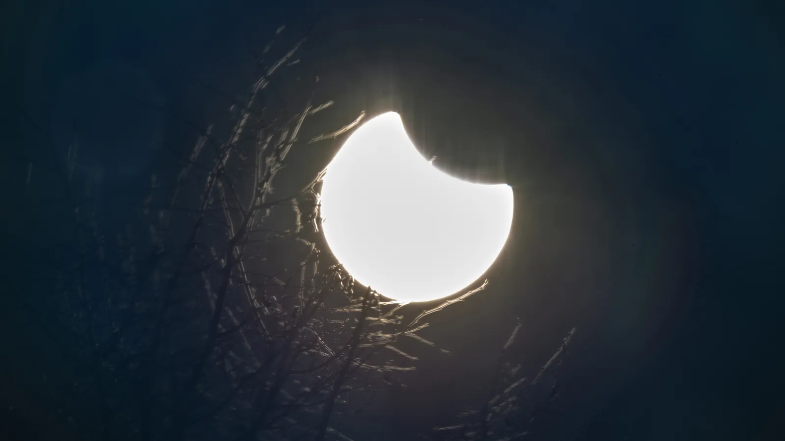 Фото: Антон Кондратюк