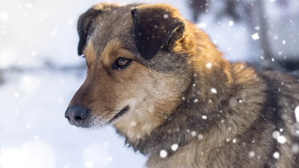 Фото: freepik.com