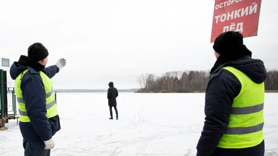 Фото: пресс-служба администрации г.о. Солнечногорск