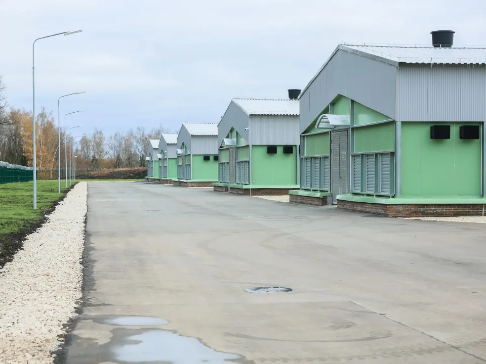 Фото: медиасток.рф