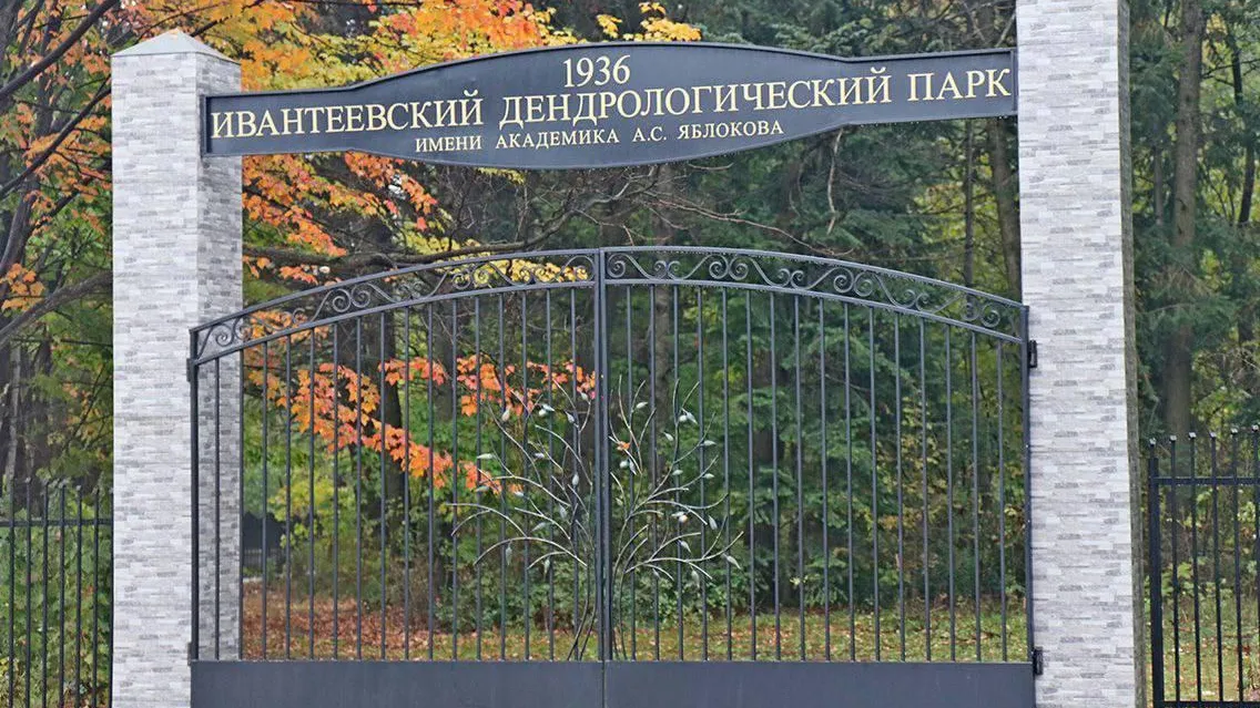 пресс-служба администрации г.о Пушкино