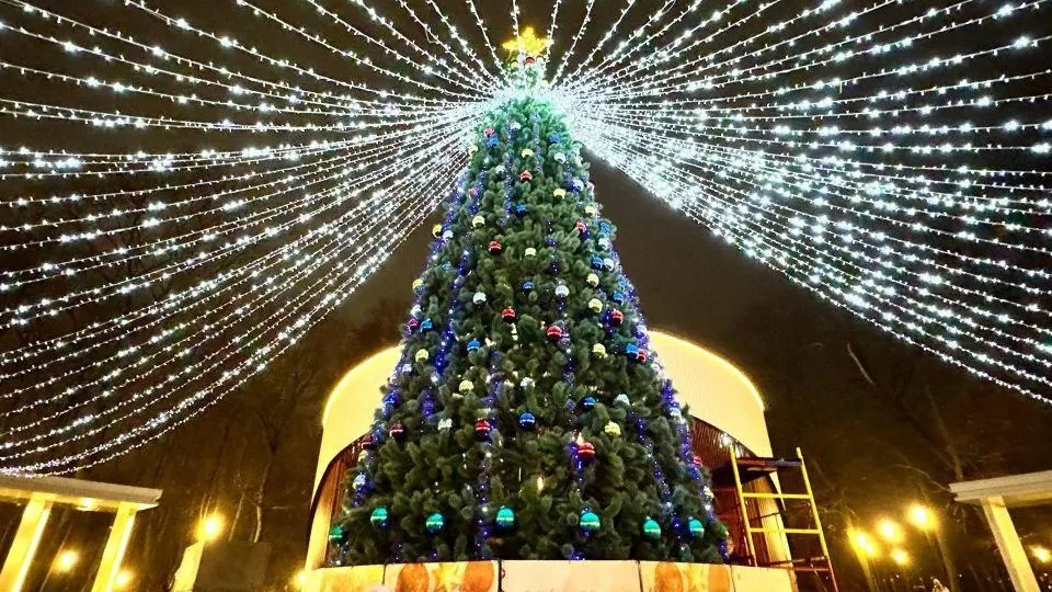 Фото: Министерство благоустройства Московской области