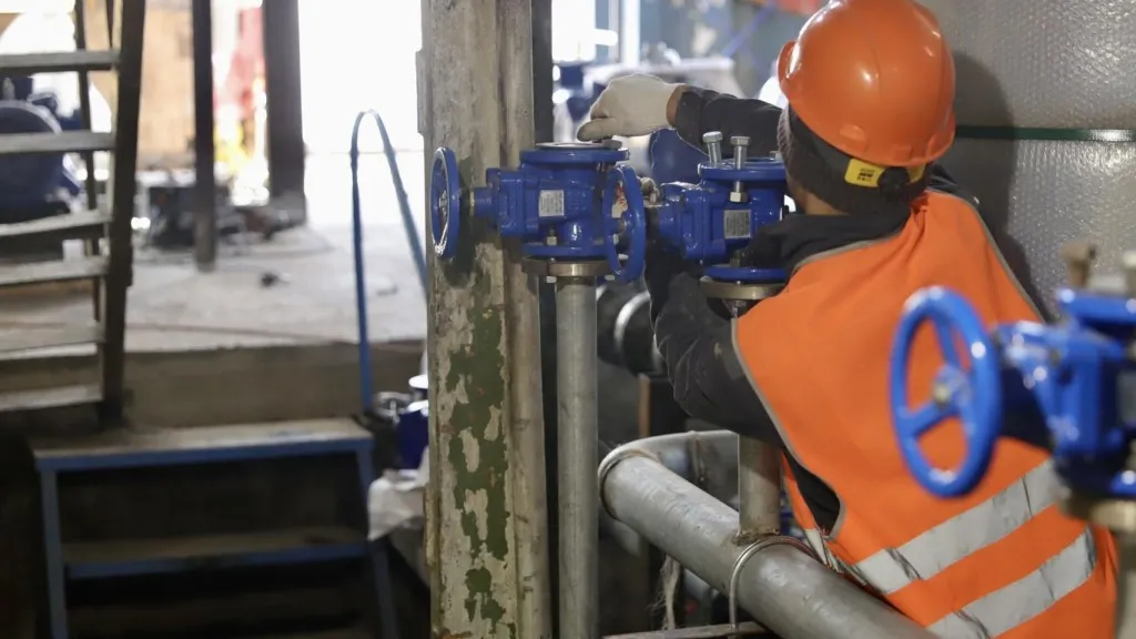 Фото: Администрация г.о. Солнечногорск