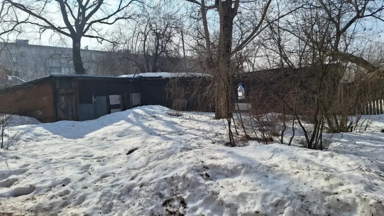 из личного архива Алексея Рыбкина