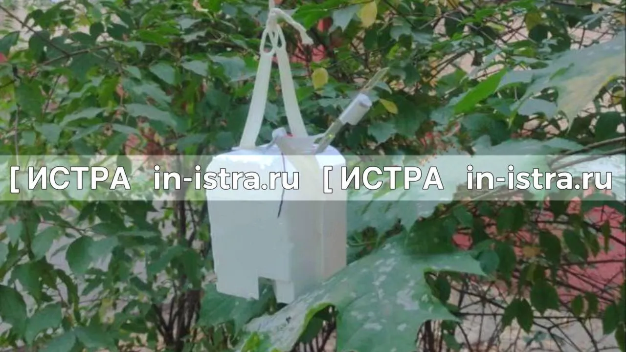 Фото: соцсети