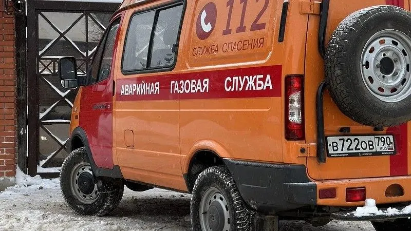 Фото:  пресс-служба Министерства энергетики Московской области