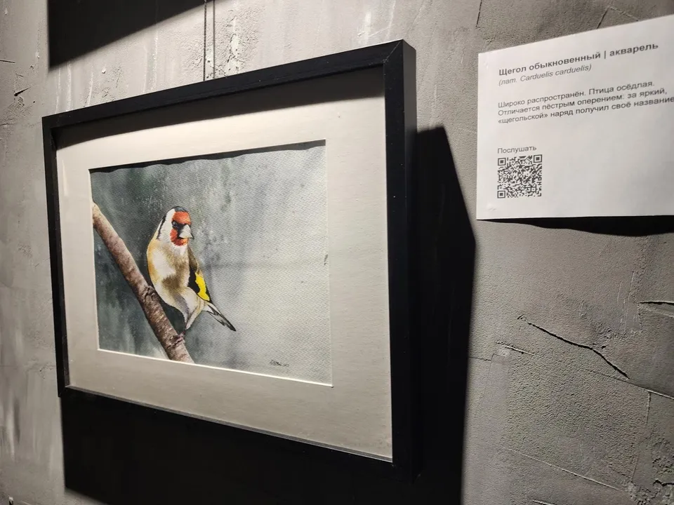 Щегол обыкновенный, написанный художницей Еленой Мусатовой. Фото: Иван Петрушин&nbsp;