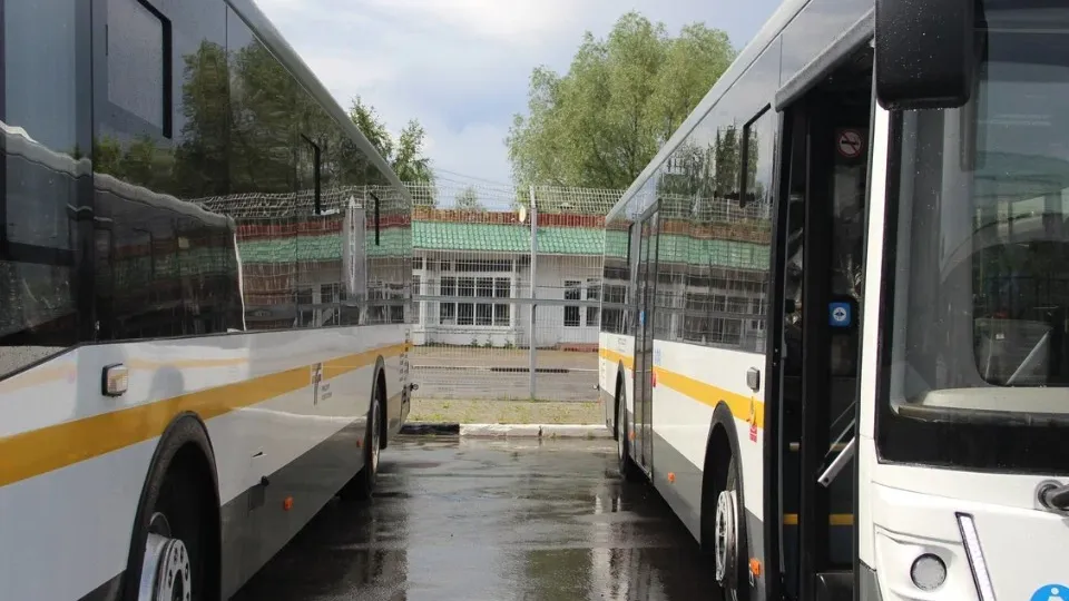 Фото: REGIONS/Василий Тремасов