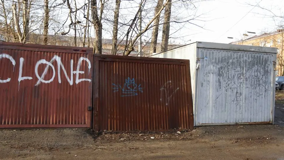 Фото: пресс-служба администрации г. о. Фрязино