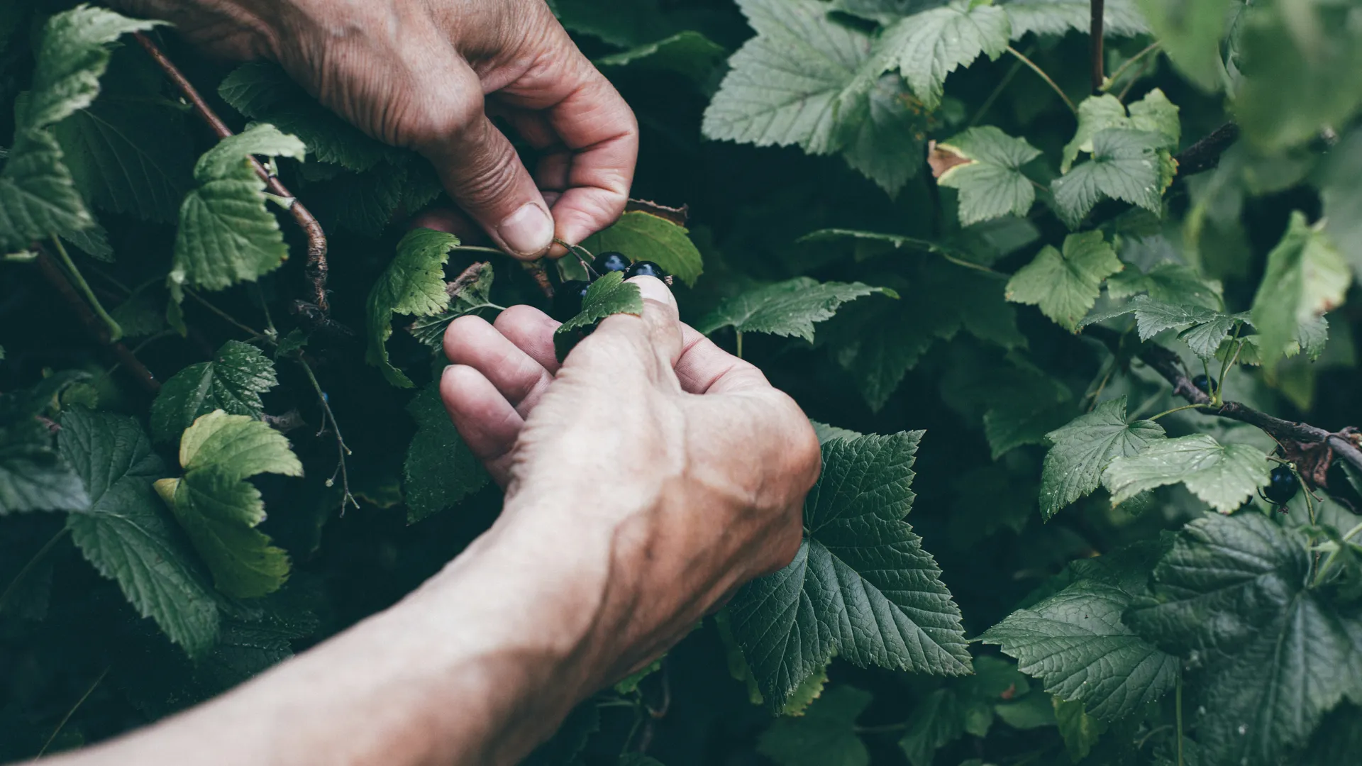 Фото: unsplash.com