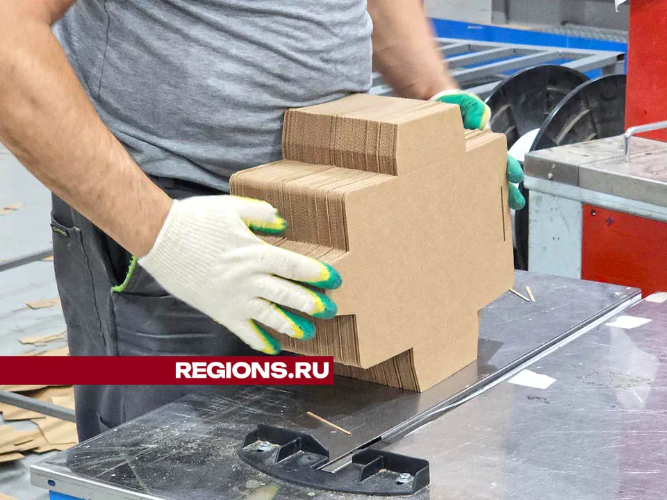 Фото: Валерия Тингаева