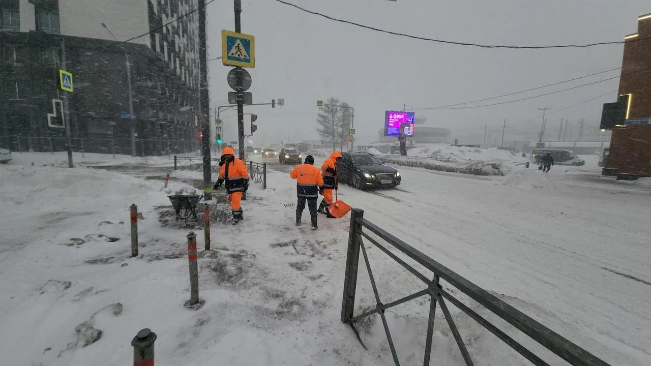 МедиаБанк Подмосковья/Валерия Исаева