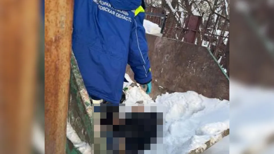 Фото: предоставлено очевидцем