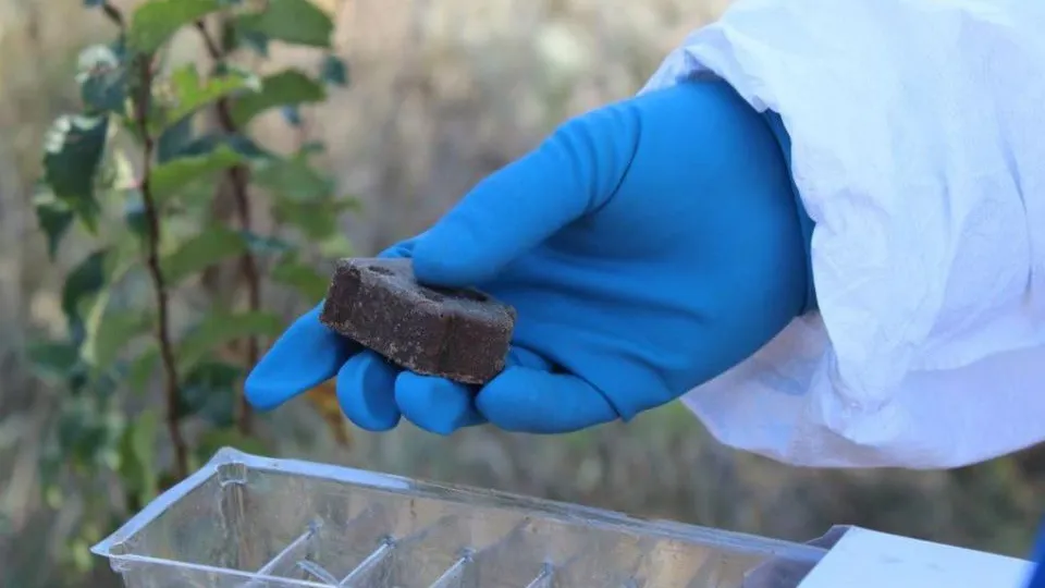 Фото: пресс-служба Министерства сельского хозяйства и продовольствия Подмосковья