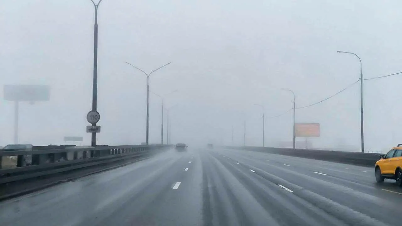 REGIONS/Роман Малышенко