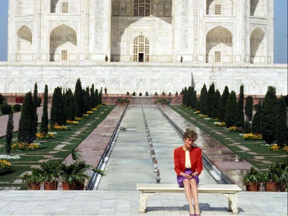 Фото: Министерство благоустройства МО