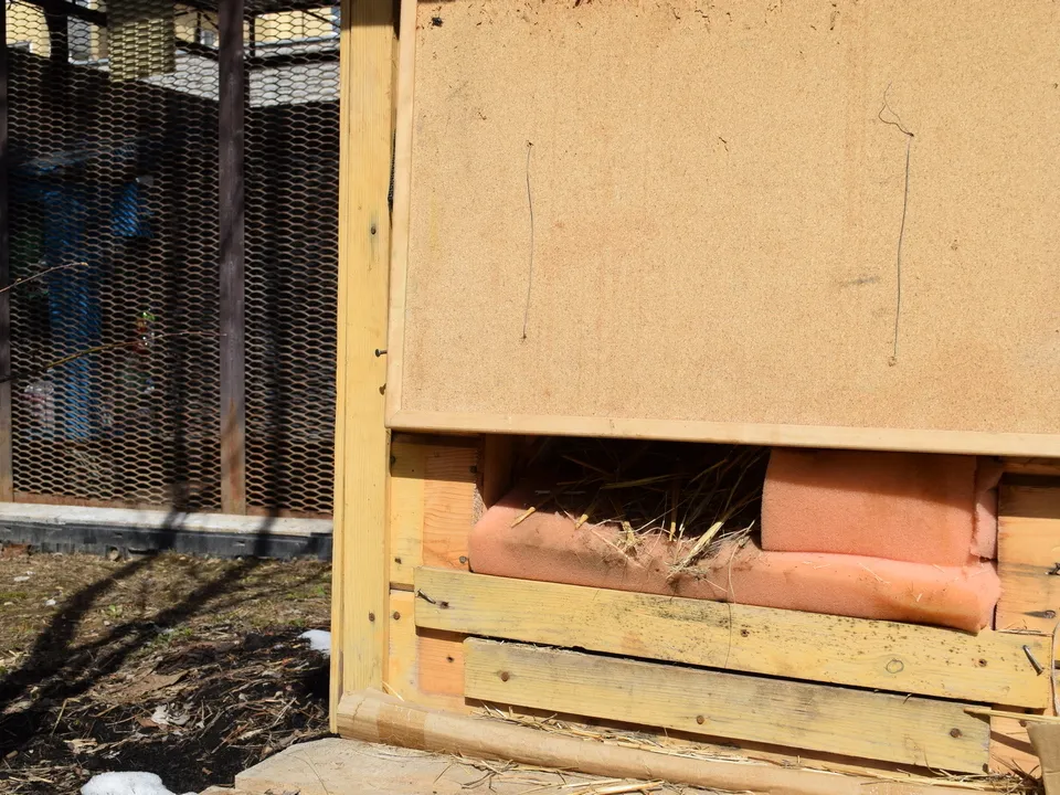 Фото: REGIONS/Александра Никитина