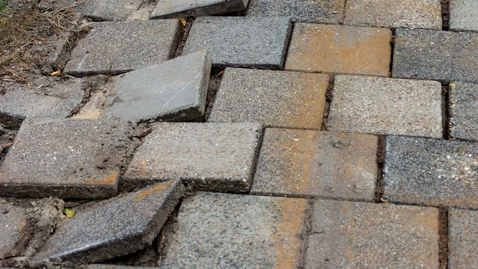 Фото: istockphoto.com