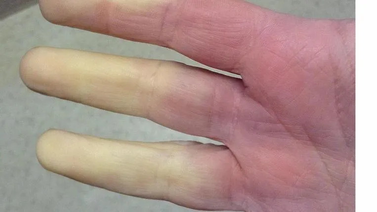 Flickr.com,  rockwolf