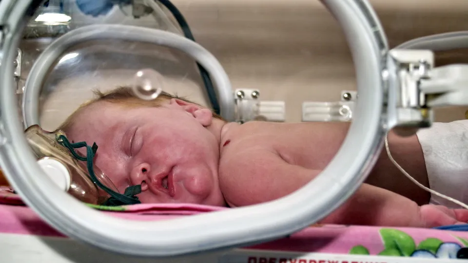 Фото: Александр Легкий